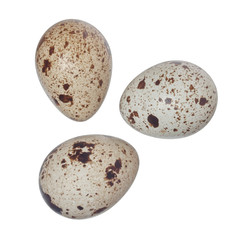 Quail eggs isolated on white background