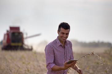 Farmer with combine harvester in soybean field - obrazy, fototapety, plakaty