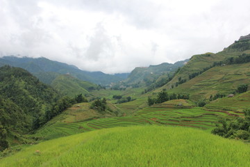 Fototapeta premium vietnam sapa