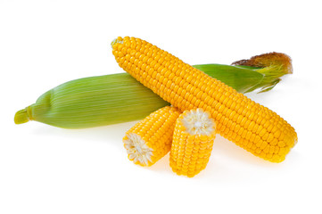 Delicious, ripe sweet corn isolated on white