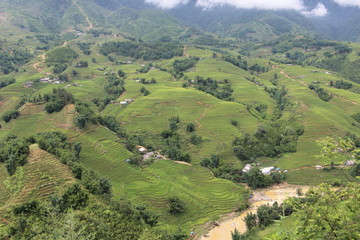 Obraz premium vietnam sapa