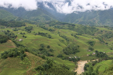 Fototapeta premium vietnam