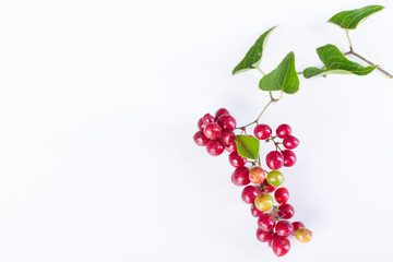 A bunch of red berries with green leaves isolatd on a white background