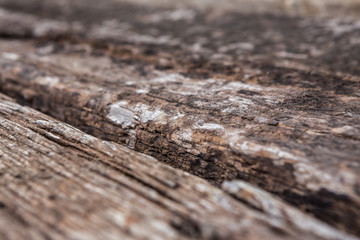 Close up pattern on wood