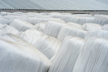 Fototapeta premium Stacked bales of harvested hay wrapped with plastic film at the beginning of the summer season.