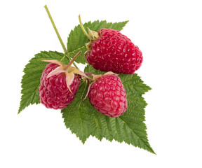 Raspberry berries with green leaf. Healthy food fresh fruit, isolated on white background.