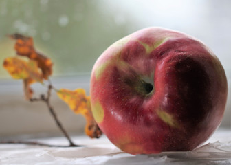 Ripe red apple lying on a table