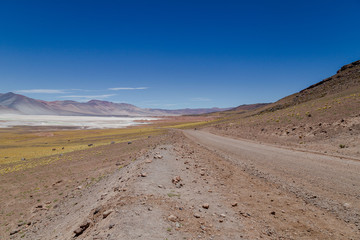 Fototapeta na wymiar Route désertique Altiplano paysage Colorée proche du désert d'Atacama au Chili voyage découverte trek roadtrip