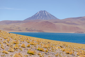 Paysage Lagune Chaxa atacama Chili désertique spectaculaire Altiplano Andes
