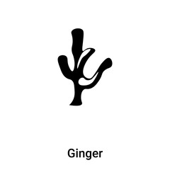 Ginger icon vector isolated on white background, logo concept of Ginger sign on transparent background, black filled symbol