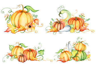 Watercolor pumpkin and autumn leaves. Harvest composition. Happy Thanksgiving day. Hand drawn illustration