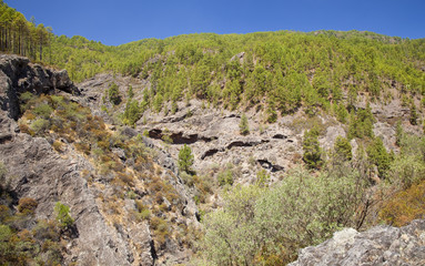 Gran Canaria, Tamadaba