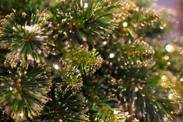 Abstract unfocused background with Christmas decorations.