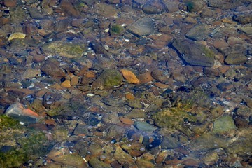 Rockpool seen with colors and small pebbles below ripples of clean clear water