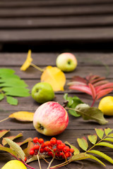 Obraz na płótnie Canvas Ripe red Rowan fruits, apples, pears with autumn leaves