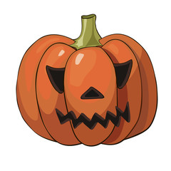 Pumpkin realistic halloween harvest thanksgiving holiday vegetable.