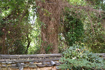 日本の兵庫県たつの市の壁