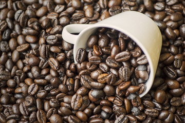 Coffee cup on the heap coffee beans