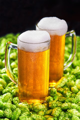Two mug of cold  beer on background hops cones