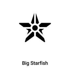 Big Starfish icon vector isolated on white background, logo concept of Big Starfish sign on transparent background, black filled symbol