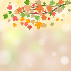 Fototapeta na wymiar Vector illustration with bokeh. Autumn leaves vector. Autumn maple leaf isolated on white background.