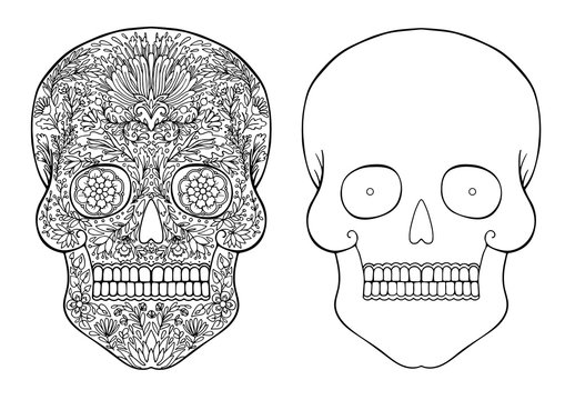 decorated with flowers skull and skull contour for drawing