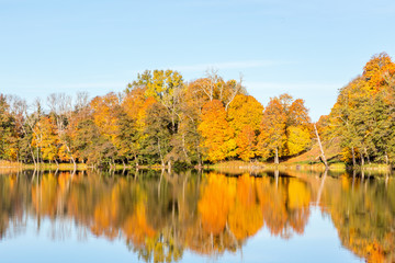 Deciduous trees by the lake in the autumn