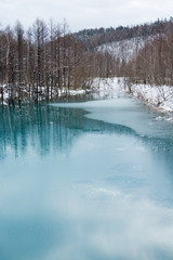 凍り始めた青い池　美瑛町