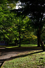 Obraz premium 公園