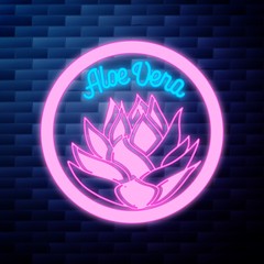 Vintage Aloe vera emblem glowing neon sign