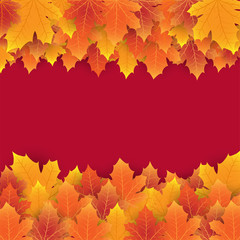 Naklejka na ściany i meble Autumn background with leaves. Vector illustration.