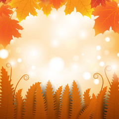 Naklejka na ściany i meble Vector illustration with bokeh. Autumn leaves vector.