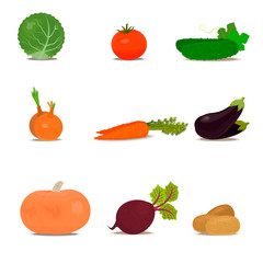 Stylish design set of fruits and vegetables