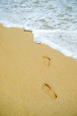  woman relaxing walking on sand beach leaving footprints in the sand.