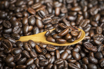 Fresh roasted coffee beans on the wooden spoon
