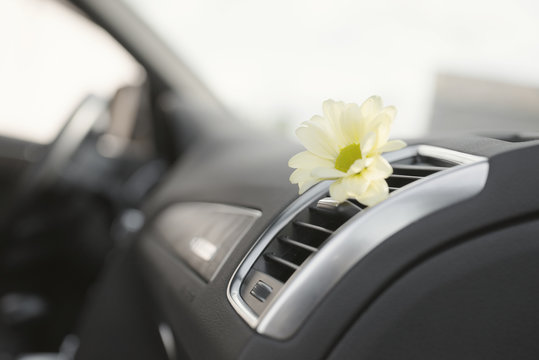Car Air Conditioner Freshness