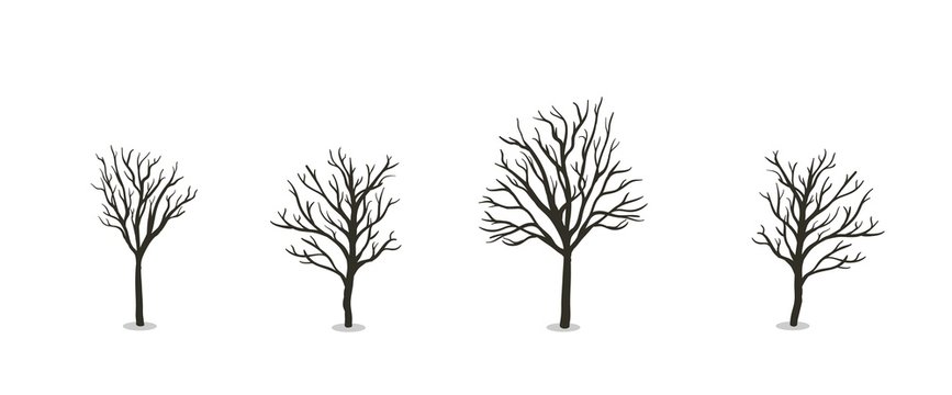 Naked autumn tree set. Flat vector illustration. Isolated on white background.