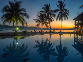 Pool with silhouettes of  palm trees