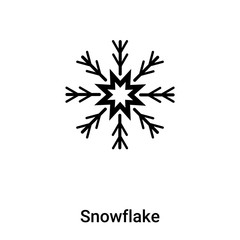 Snowflake icon vector isolated on white background, logo concept of Snowflake sign on transparent background, black filled symbol