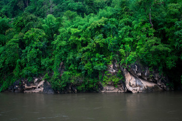 Fototapeta na wymiar mountain slope on jungle river