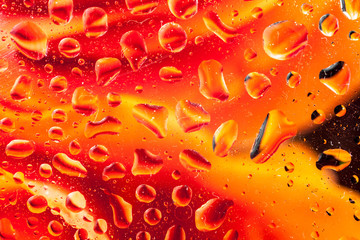 reflection of a rose in a rain drop