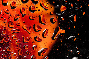 reflection of a rose in a rain drop