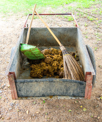 Elephant Dung That Was Scooped From The Streets In Ayutthaya, Thailand