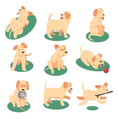Vector illustration of cute dog playing with various objects