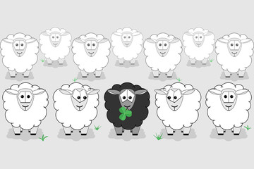 Black sheep surrounded by white sheep