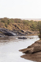 View of the river Mara. Kenya. Africa
