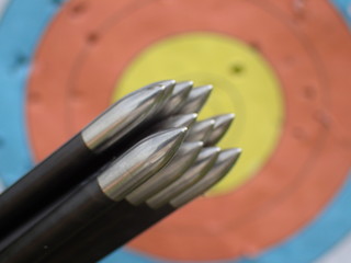 arrow heads and target in background