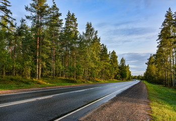 Fototapeta premium Early autumn Sunny morning after rain. Russia, Leningrad region.