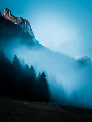 Misty landscape with fog covered forest during morning mountain scenery, switzerland