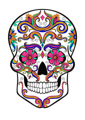 hand drawn sugar skull vector